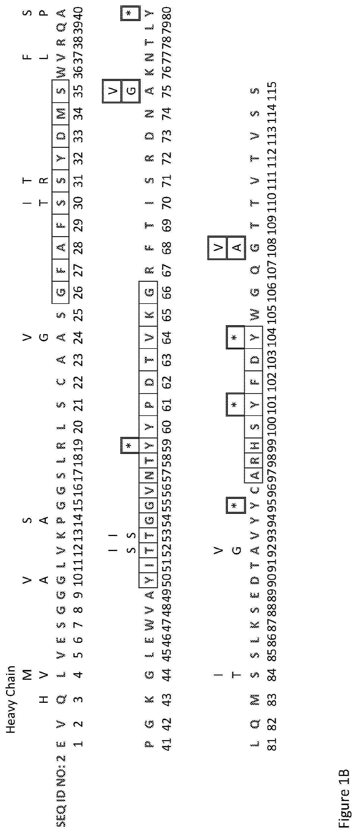 Antibody Library and Method