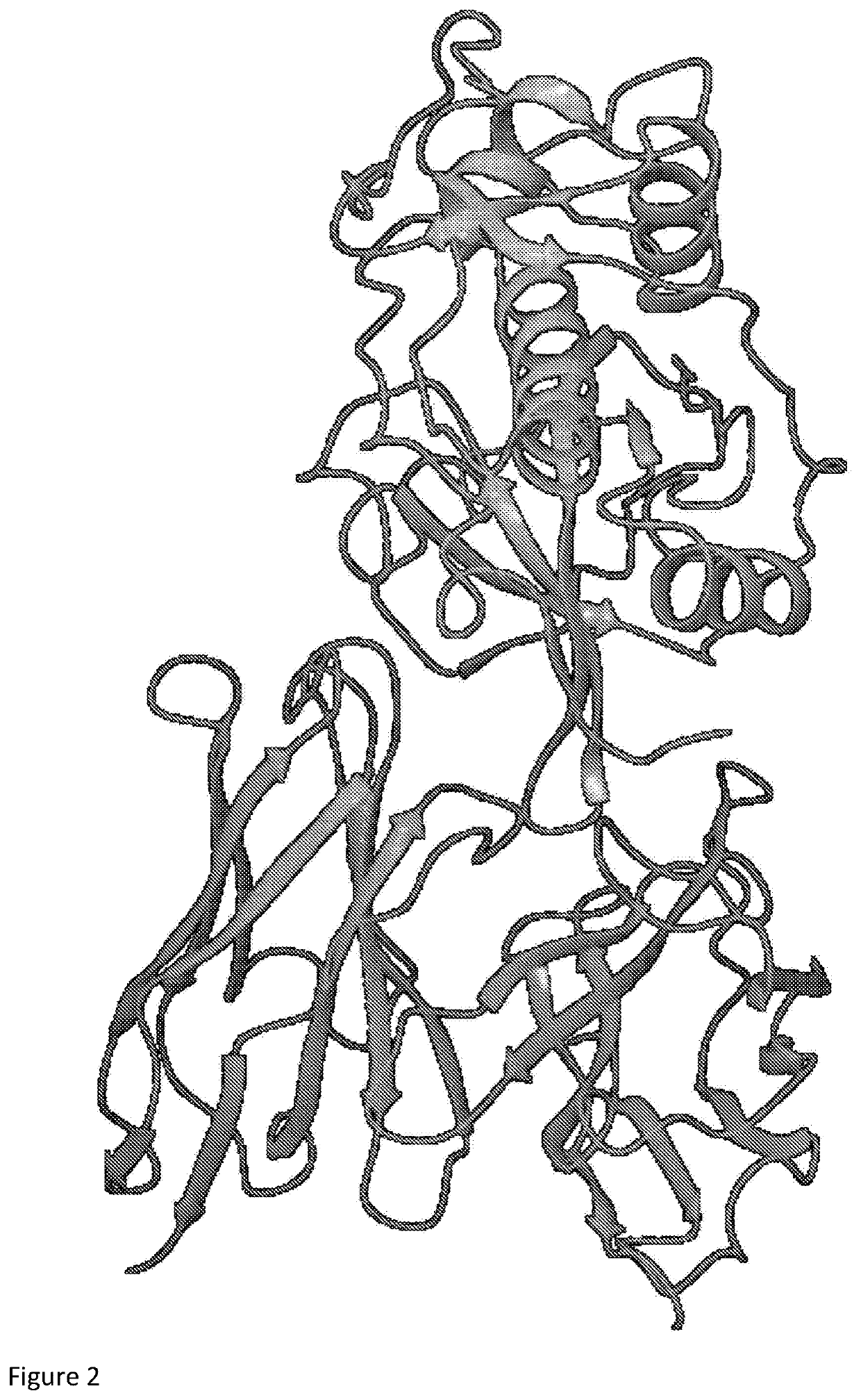 Antibody Library and Method