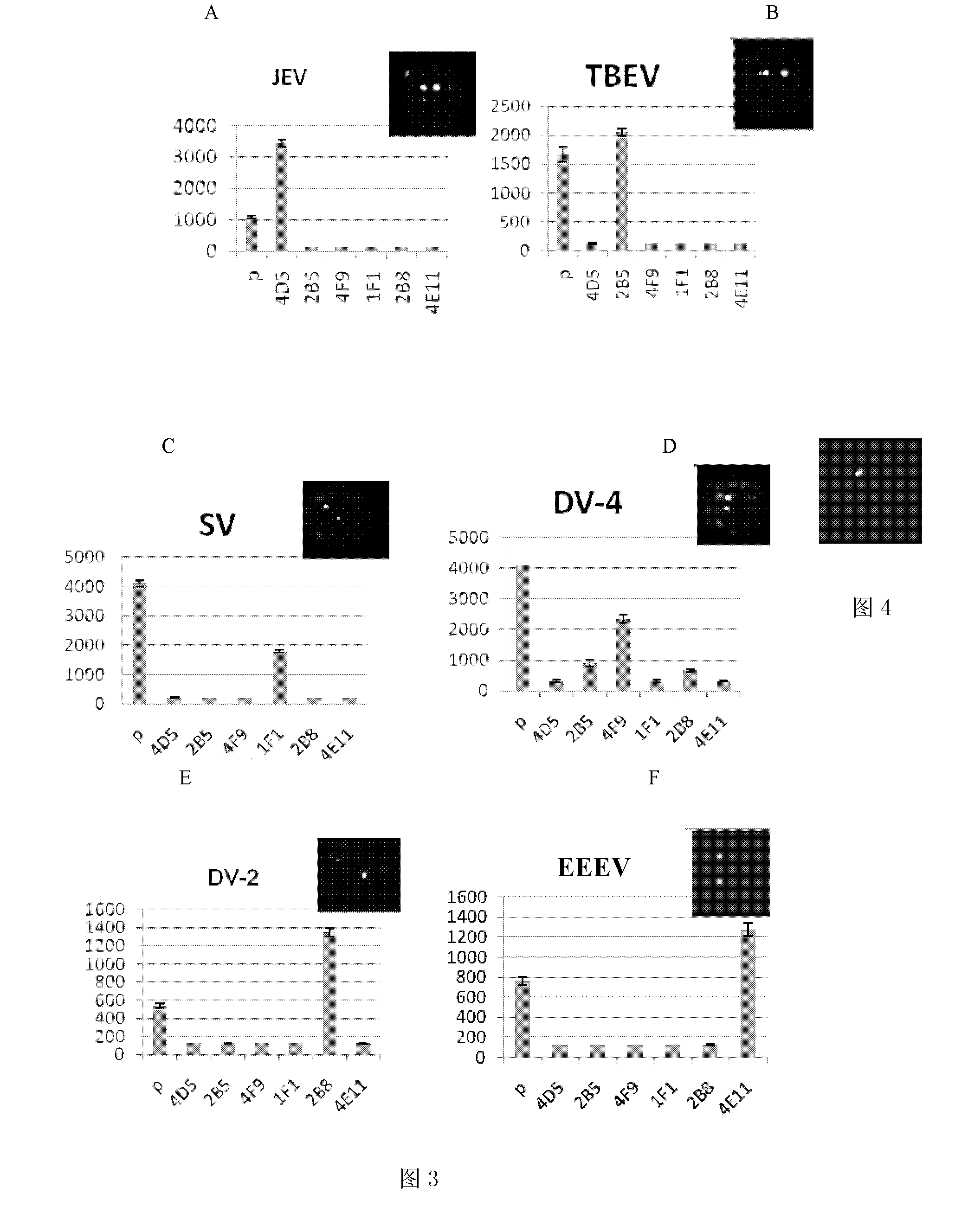 ELISA-Array method for detection of encephalitis viruses, and special kit thereof