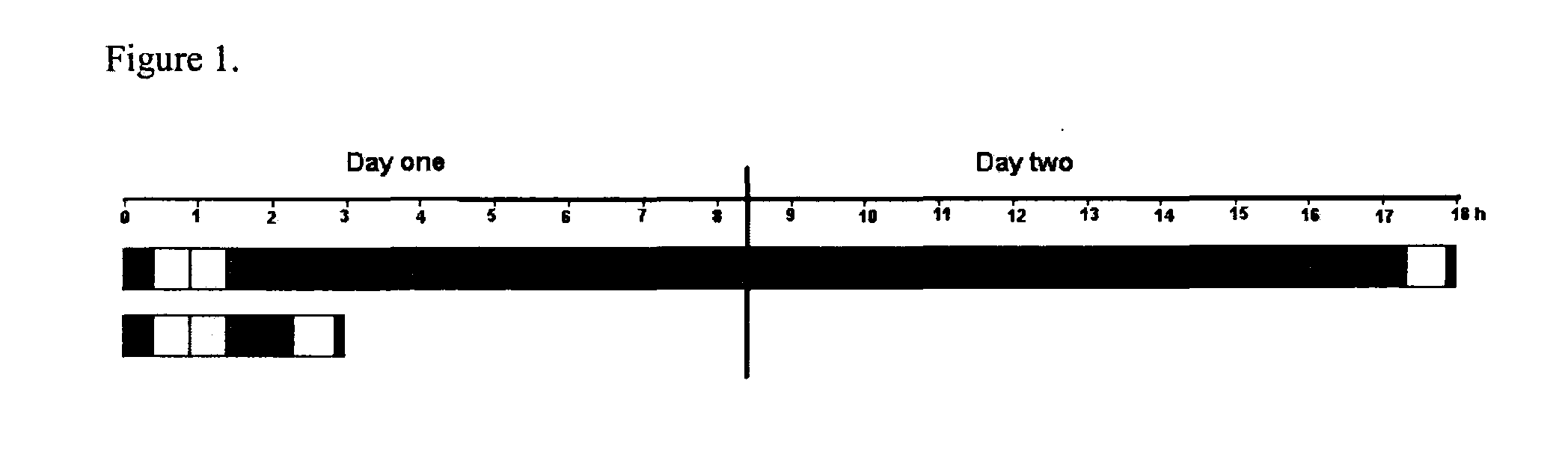 Compositions and Methods for RNA Hybridization Applications