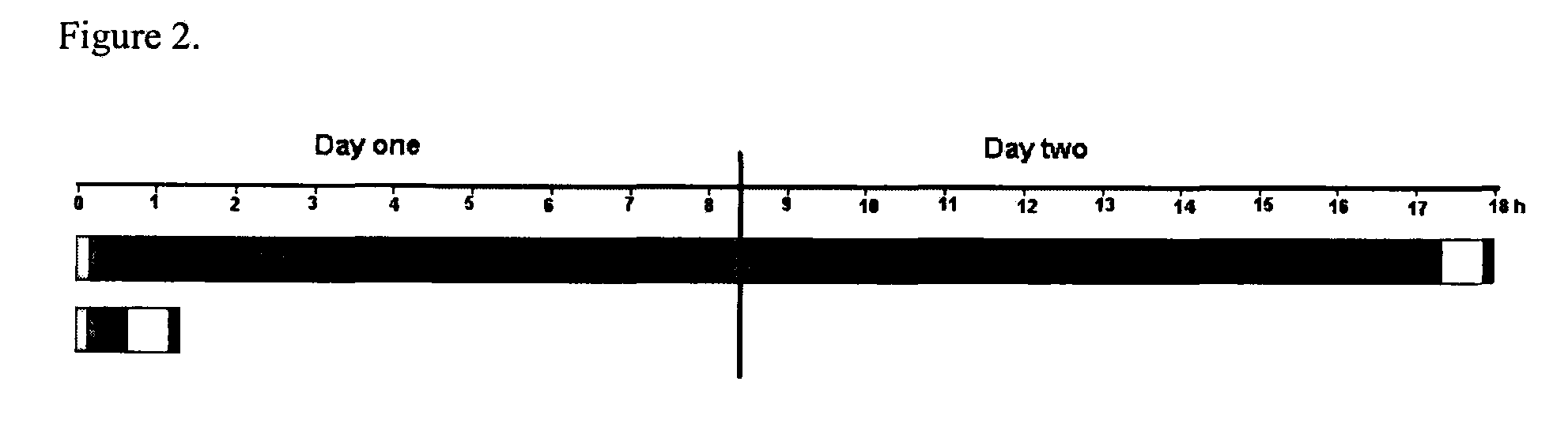 Compositions and Methods for RNA Hybridization Applications