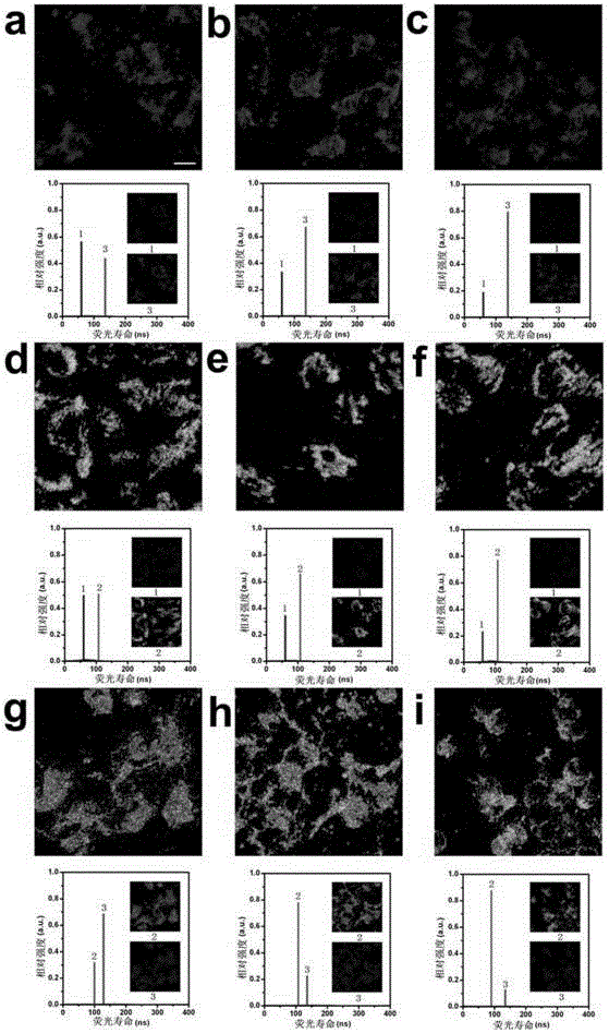 Quantum dot for fluorescent lifetime codes and fluorescent lifetime coding method thereof