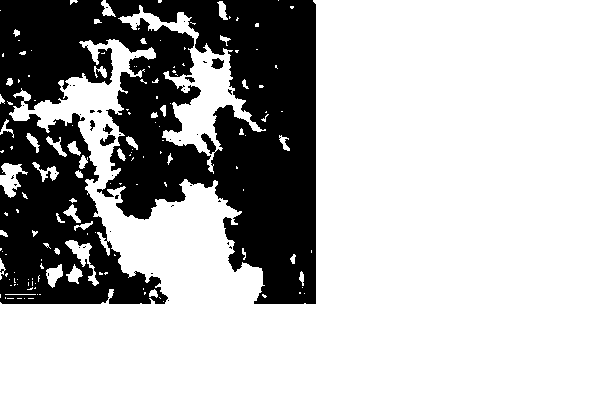 Cleaning catalyst for automobile exhaust and preparation method of cleaning catalyst carrier