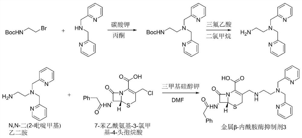 A metallo-beta-lactamase inhibitor and its preparation method and application