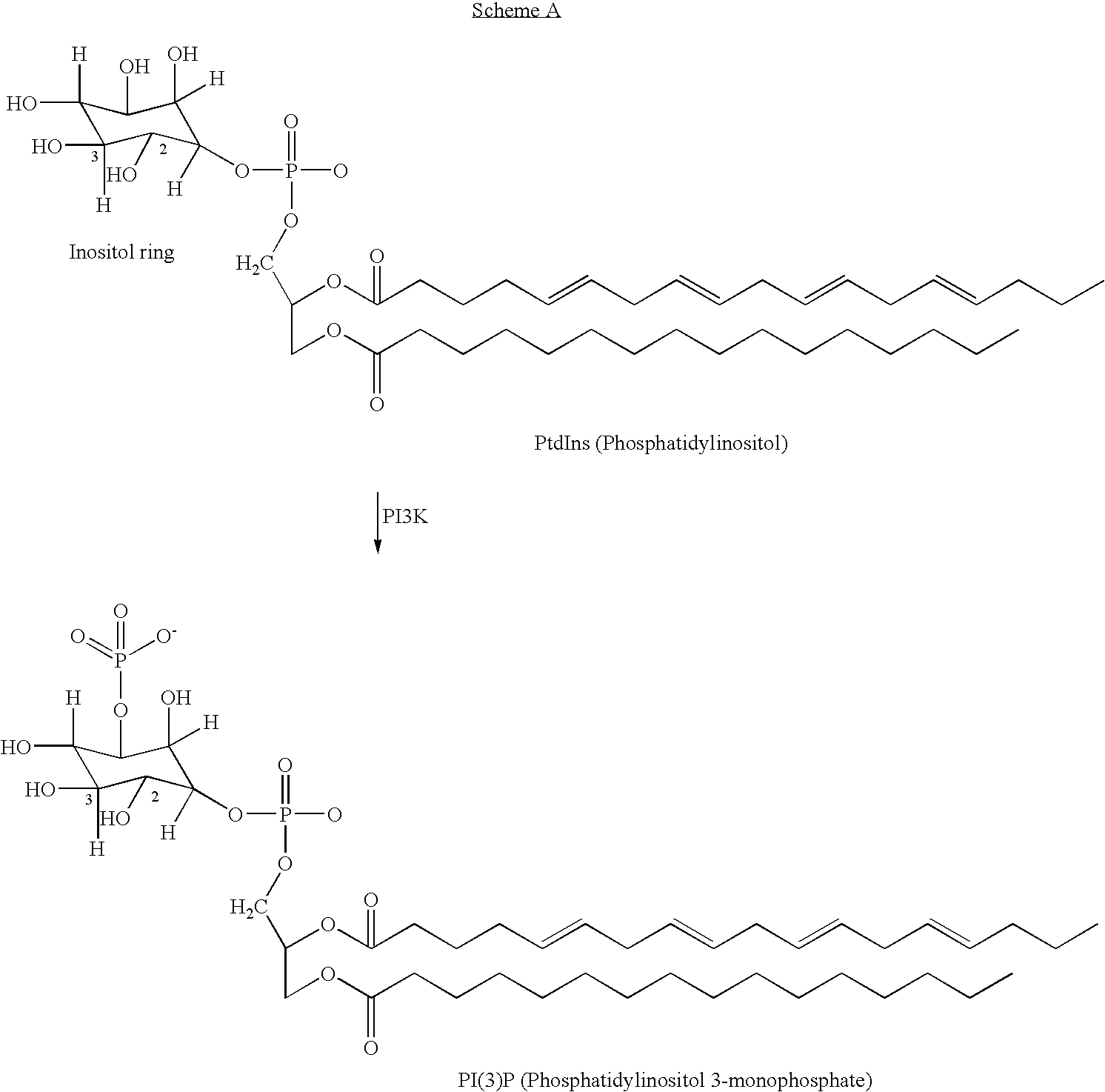 Pyridine methylene azolidinones and use thereof phosphoinositide inhibitors