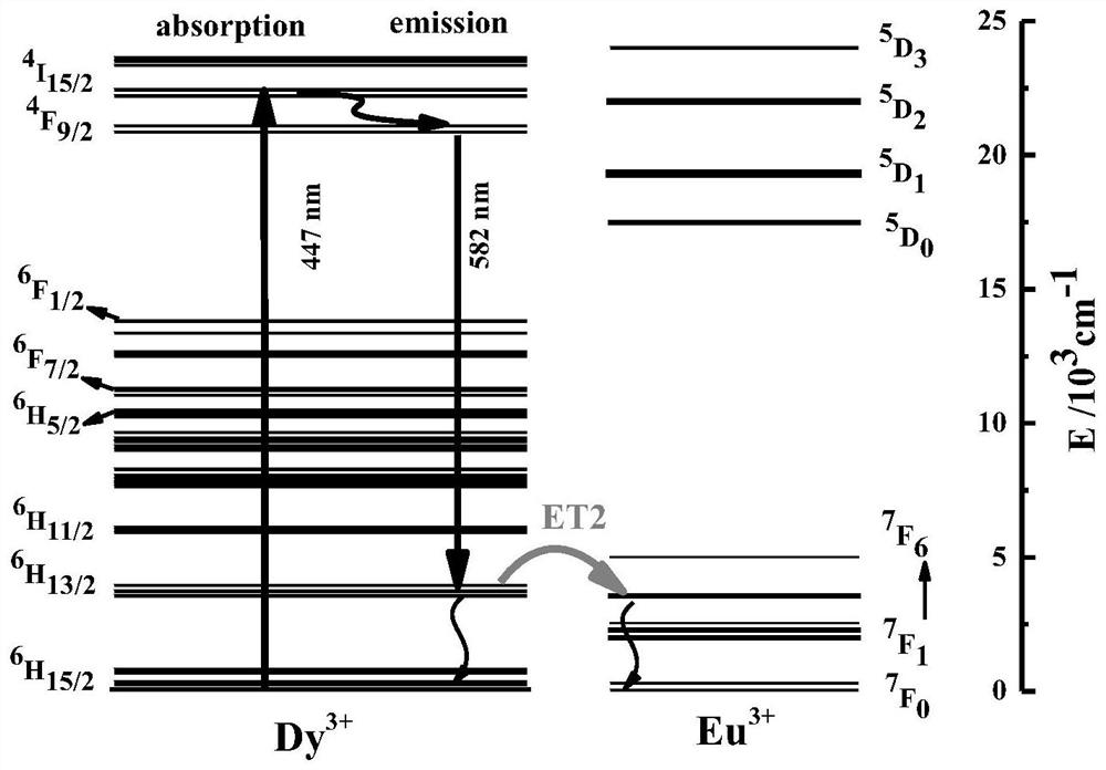 All-solid-state yellow laser based on double-doped crystal