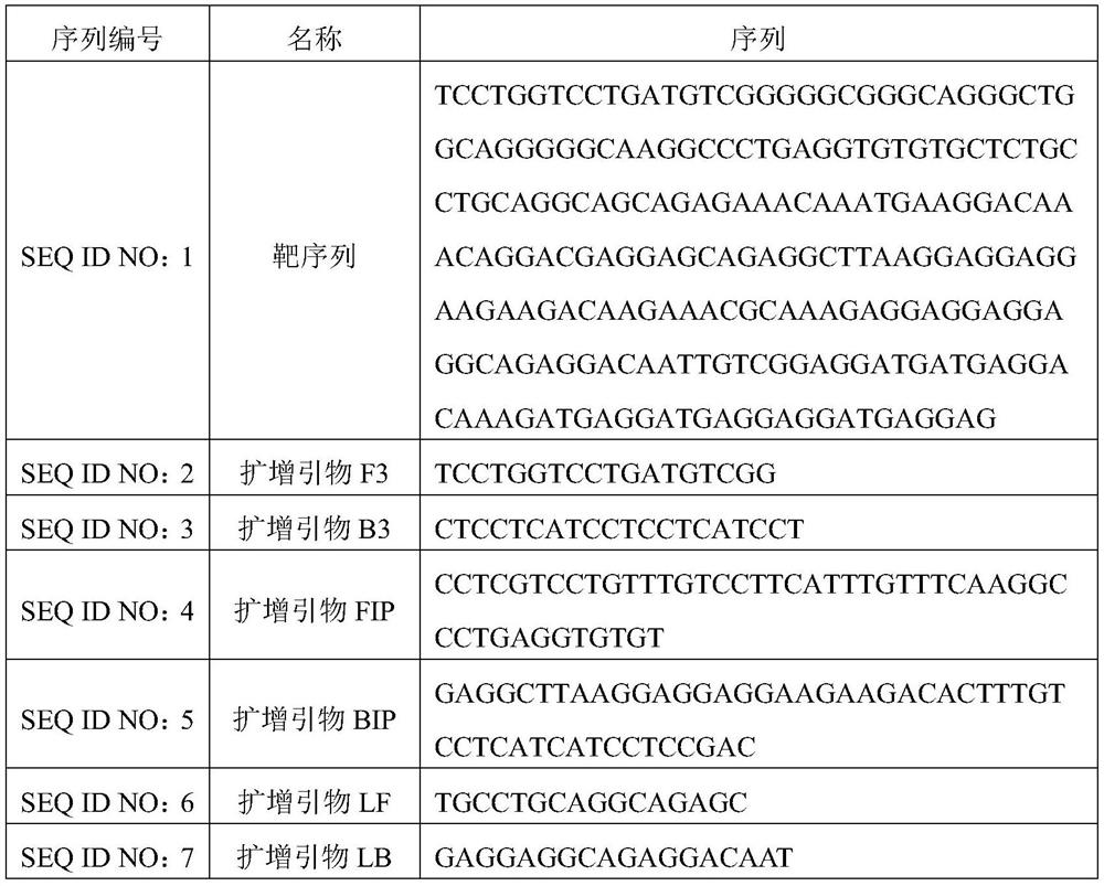 A primer composition and kit for detecting calr gene type 2 mutation