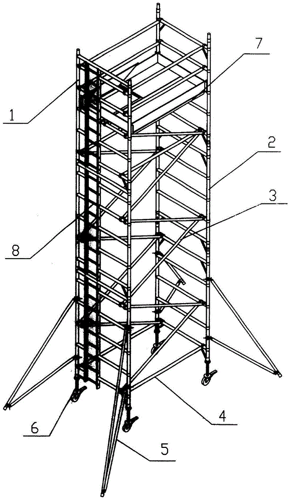 Scaffold