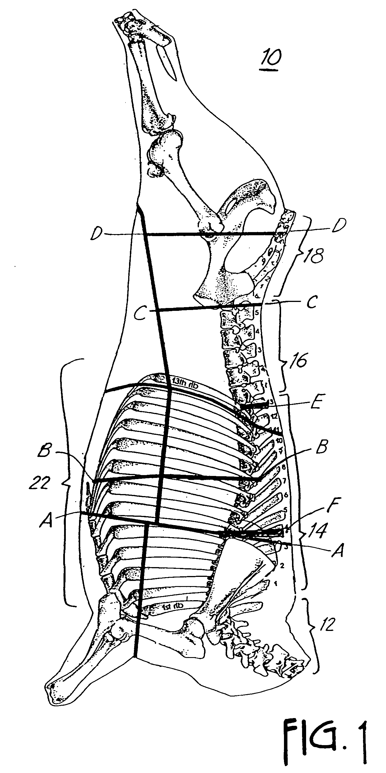 Method and apparatus for tenderizing meat