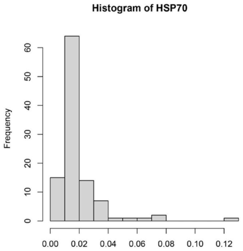 Crassostrea gigas high temperature response gene HSP70 expression regulation SNP marker and application thereof