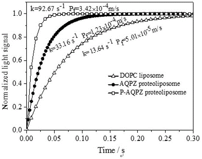 Method for compounding non-natural amino acids pPpa in escherichia coli aquaporin AQPZ