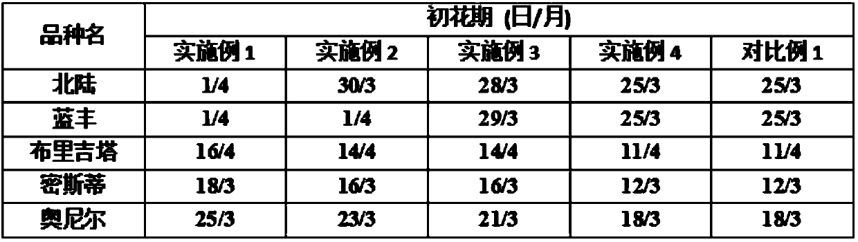 Polypeptide capable of promoting blueberry flowering and application method thereof