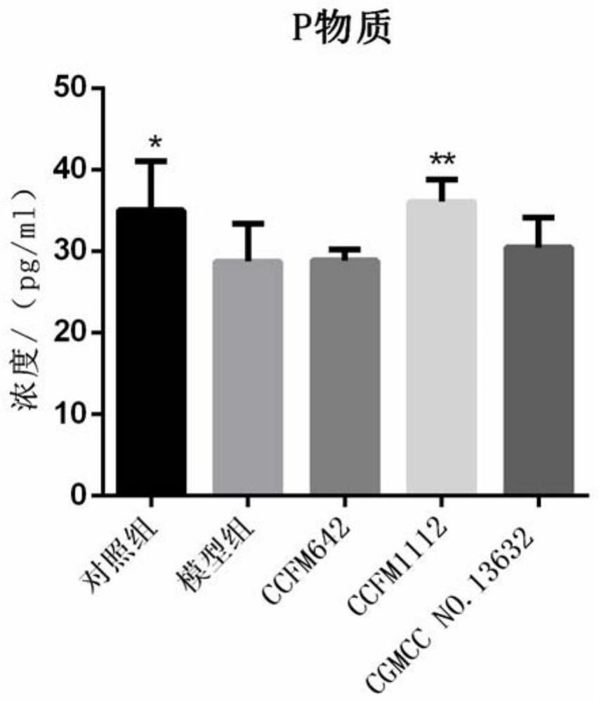 Bifidobacterium longum capable of reducing inflammatory response and relieving constipation