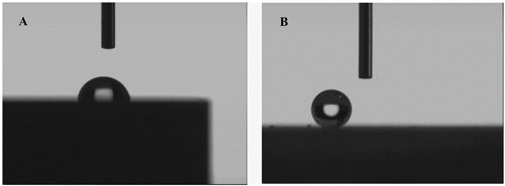 Method for preparing magnesium alloy super-hydrophobic surface resistant to biological fluid corrosion