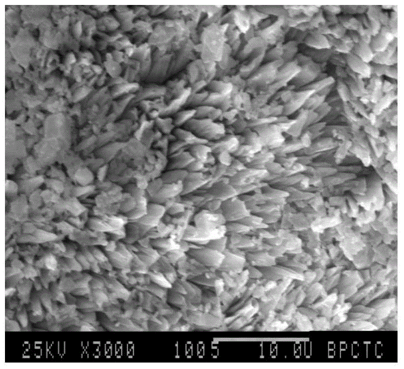 Bioactive degradable coral hydroxyapatite artificial bone