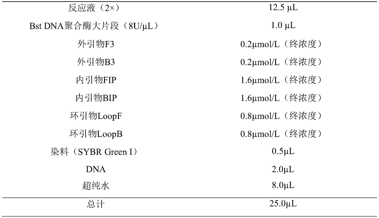 Primer group, kit and method for detecting listeria monocytogenes on basis of intelligent isothermal amplification technology