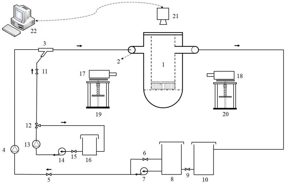 Reactor pressure vessel boron concentration measuring device based on modeling scaling method