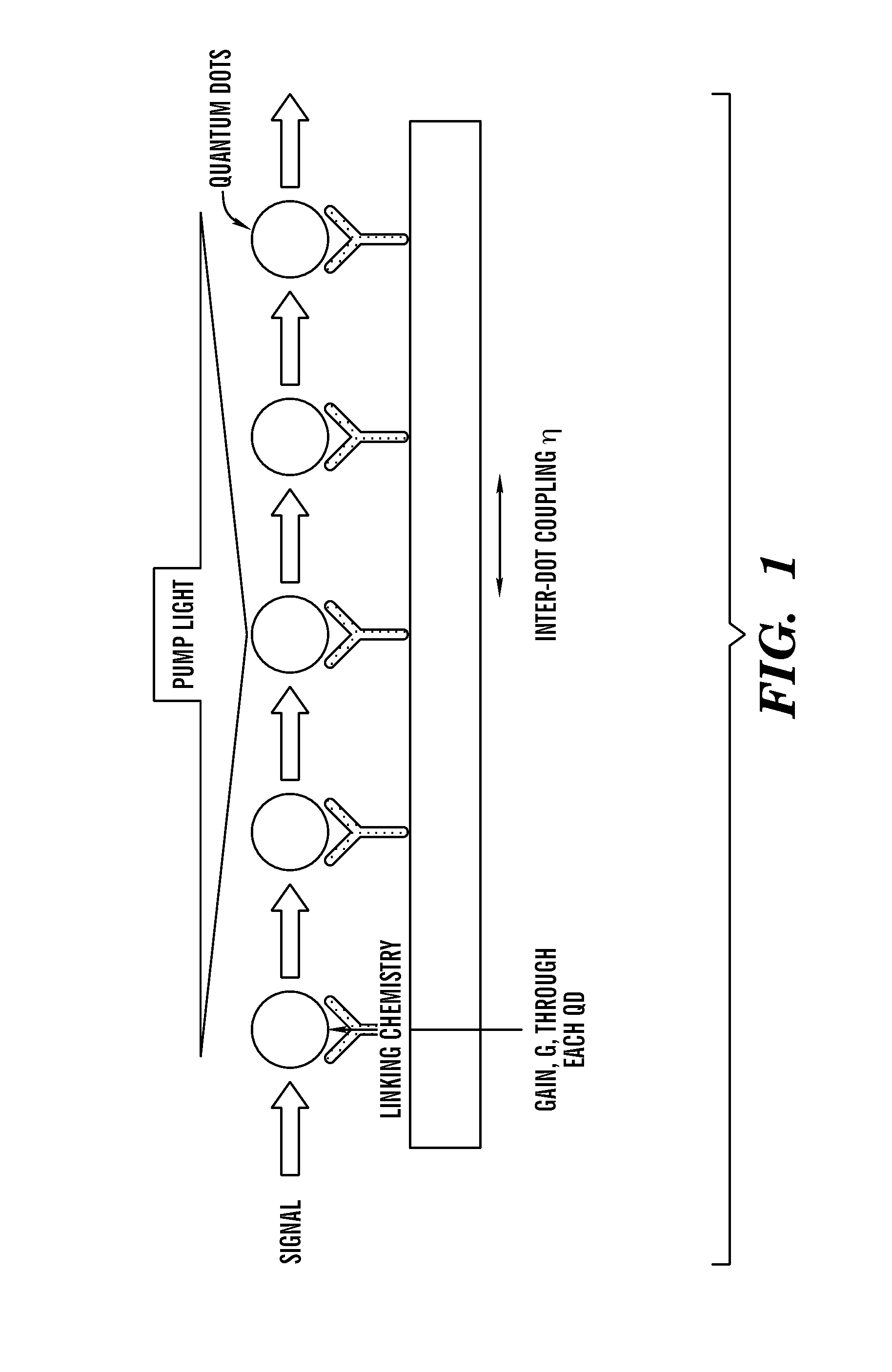 Multiple quantum dot waveguides