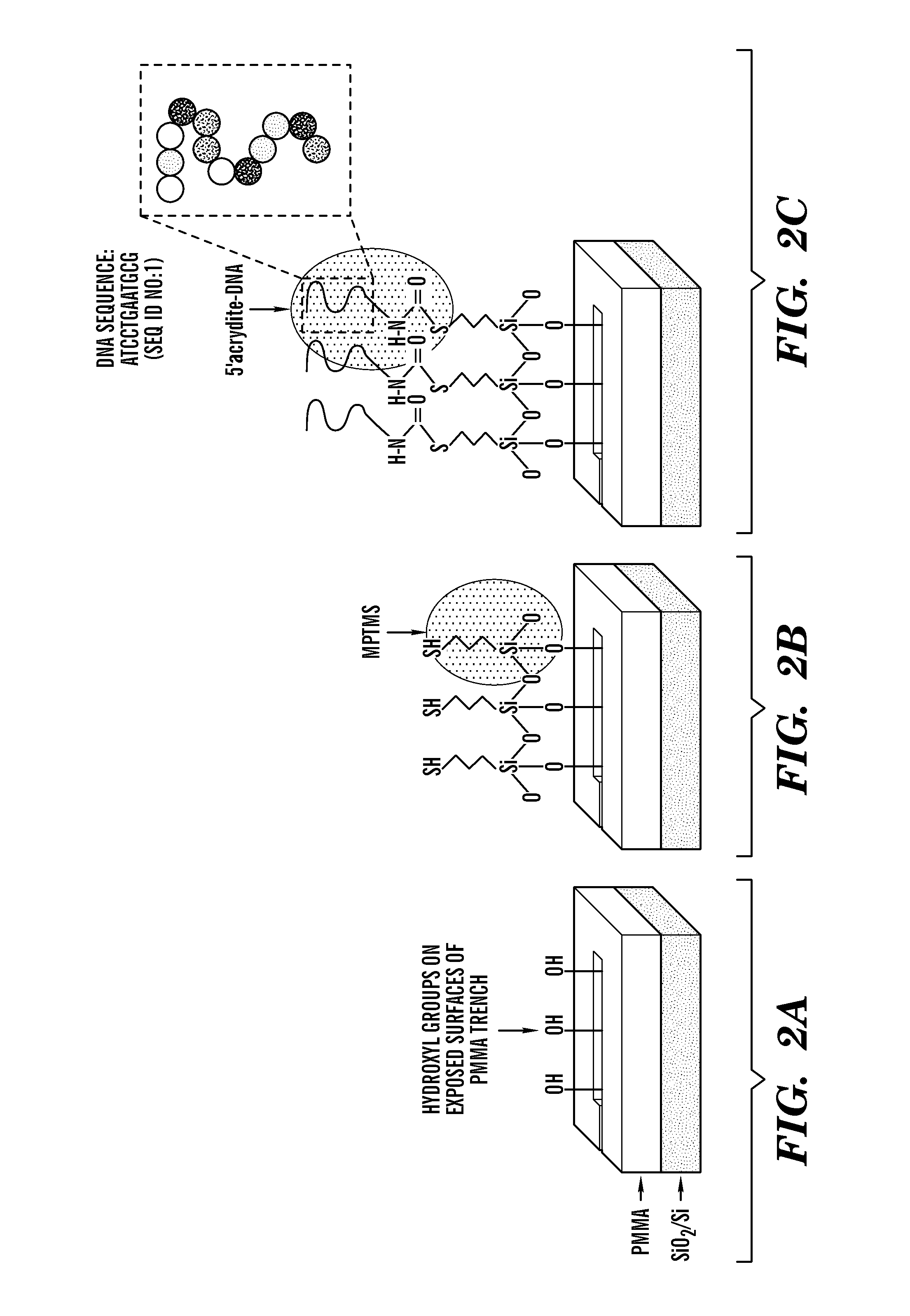 Multiple quantum dot waveguides