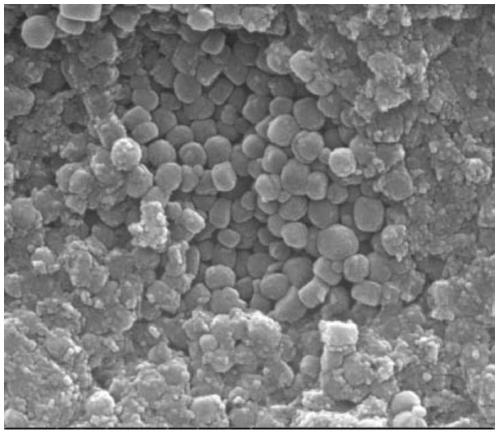 A kind of shaped molecular sieve catalyst and its preparation method and application
