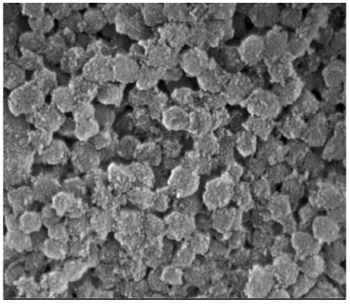 A kind of shaped molecular sieve catalyst and its preparation method and application