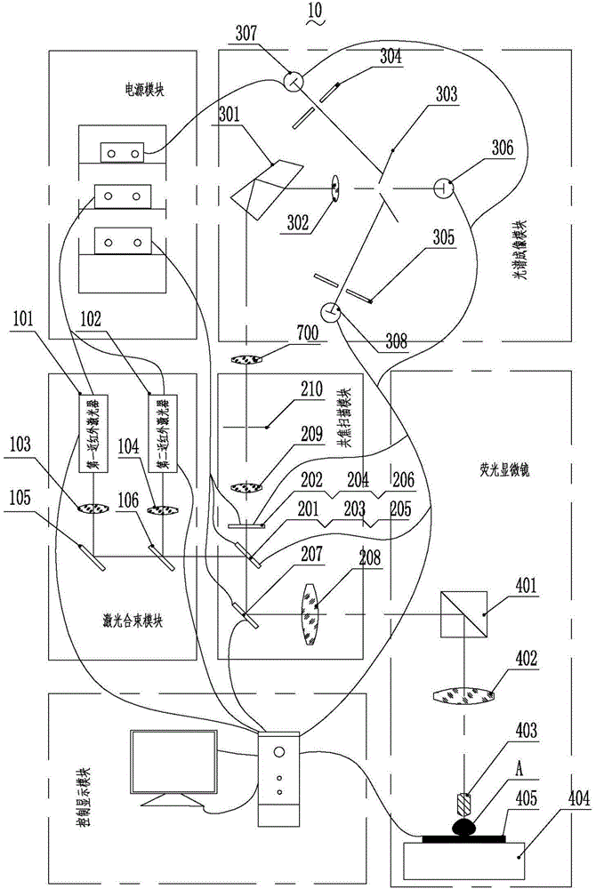 Fluorescence detector