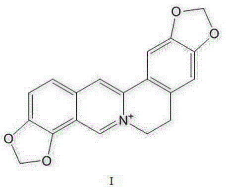 Application of coptisine or its salt in the preparation of drugs for preventing and treating fatty liver injury