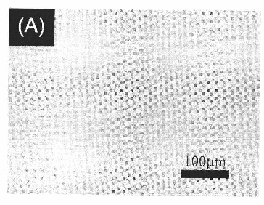 Preparation method for material with high density fixed biologically functional molecule