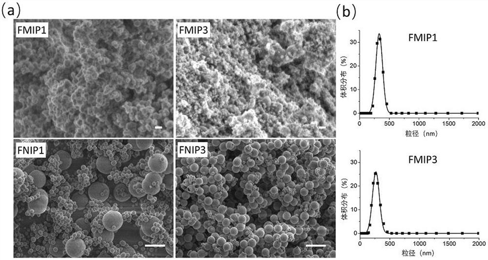 A kind of preparation method and application of fluorescent molecularly imprinted silica nanoparticles