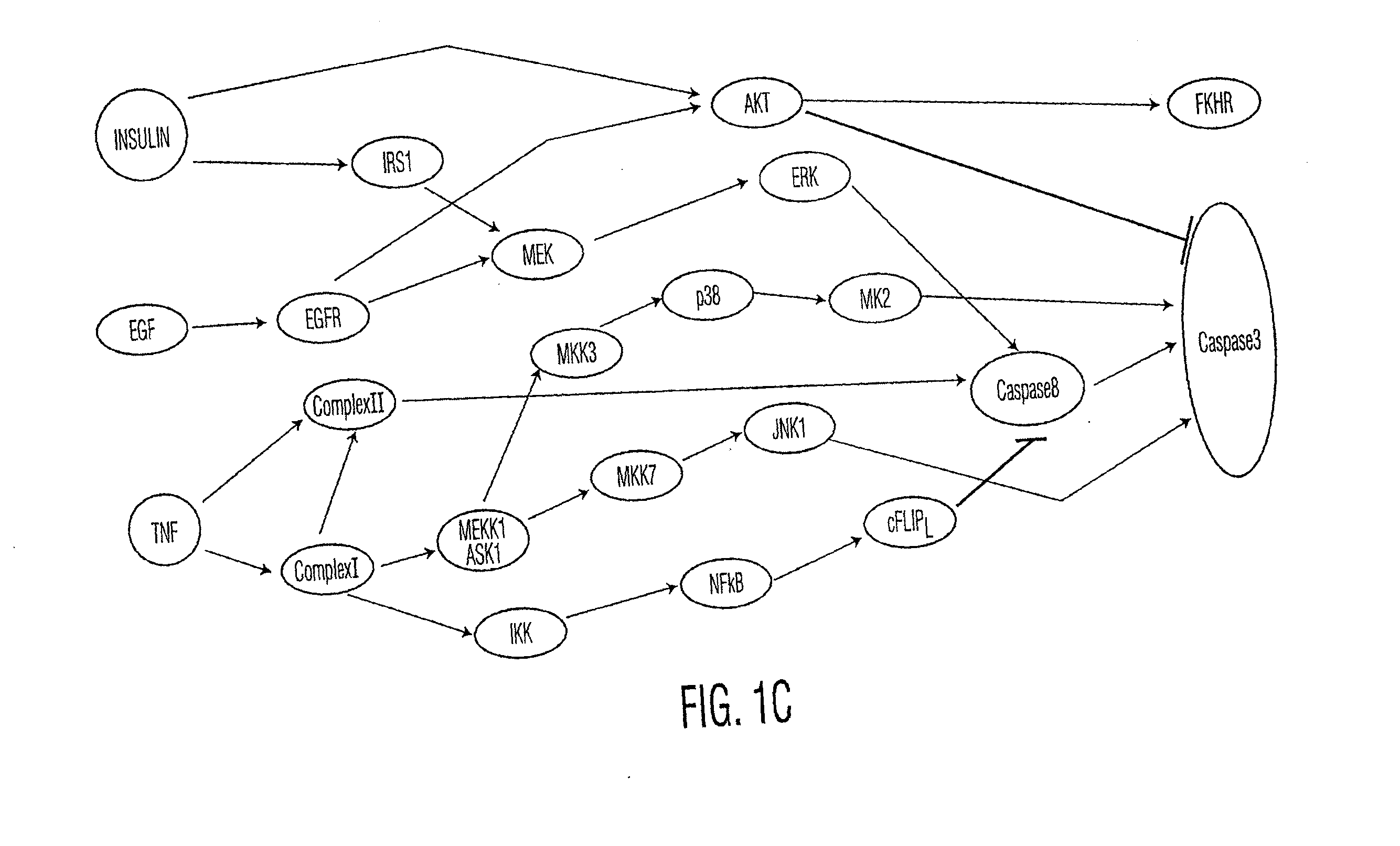 Systems and methods for fault diagnosis in molecular networks