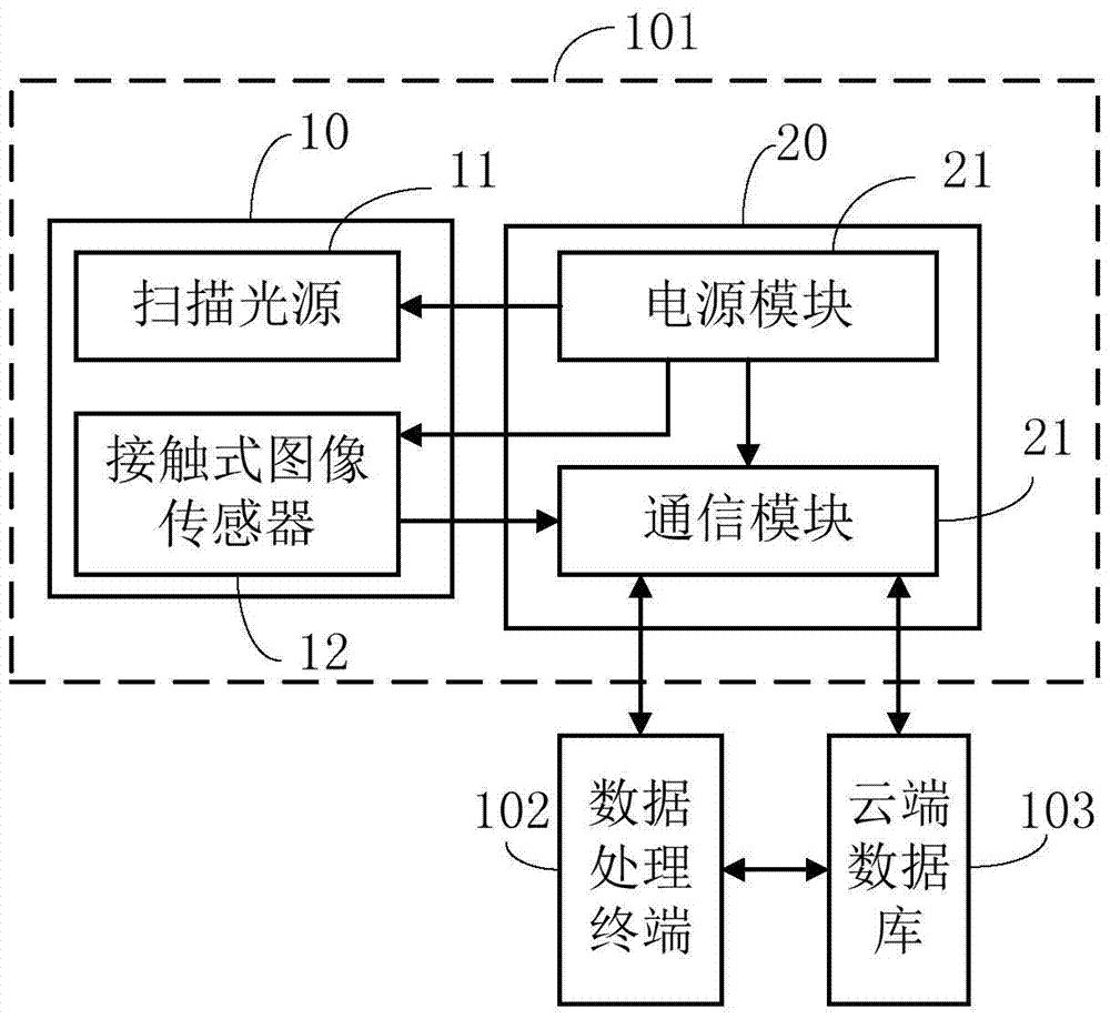 Skin detector, detection system and detection method