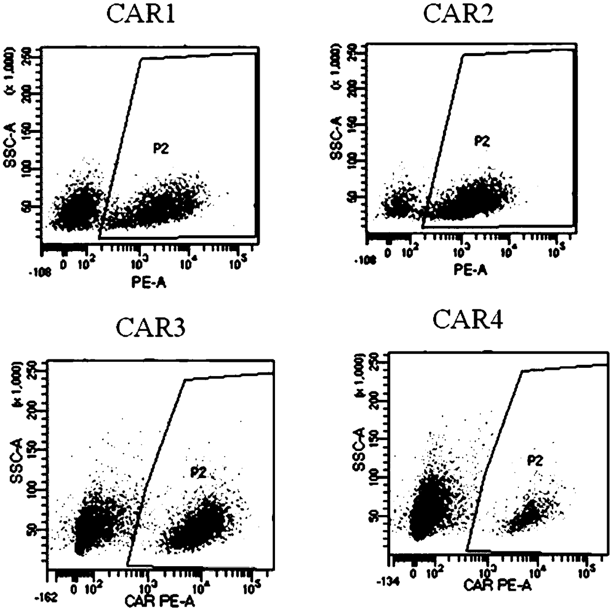 Application of novel CAR (Chimeric Antigen Receptor) modified T cells for treating cancer