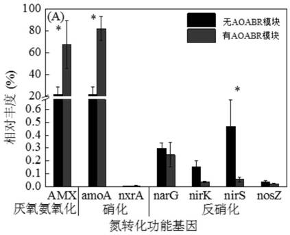 A sewage treatment system and method for strengthening domestic sewage anaerobic ammonium oxidation denitrification and simultaneous phosphorus removal