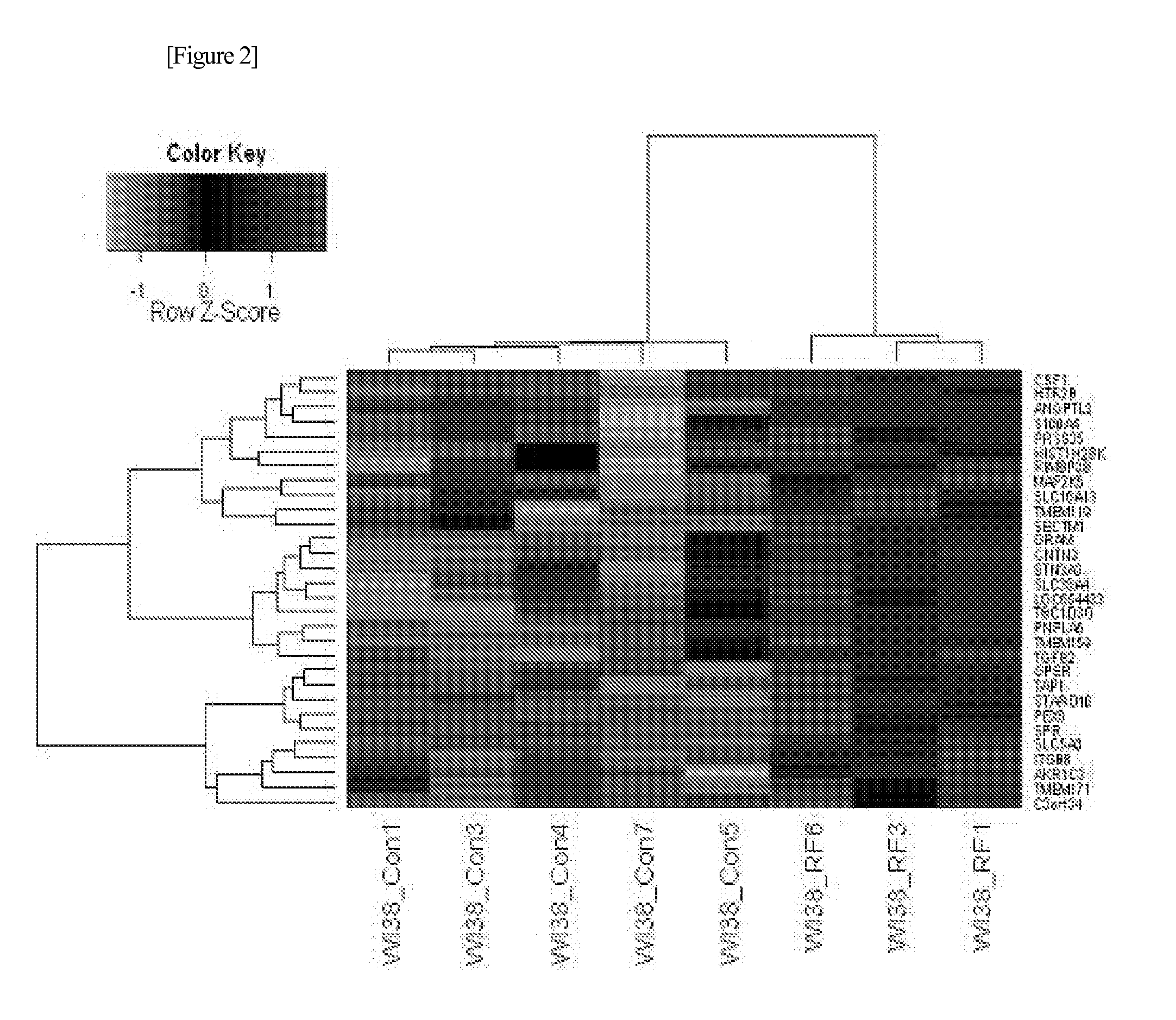 Marker for diagnosis of exposure to electromagnetic radiation and diagnostic kit comprising the same