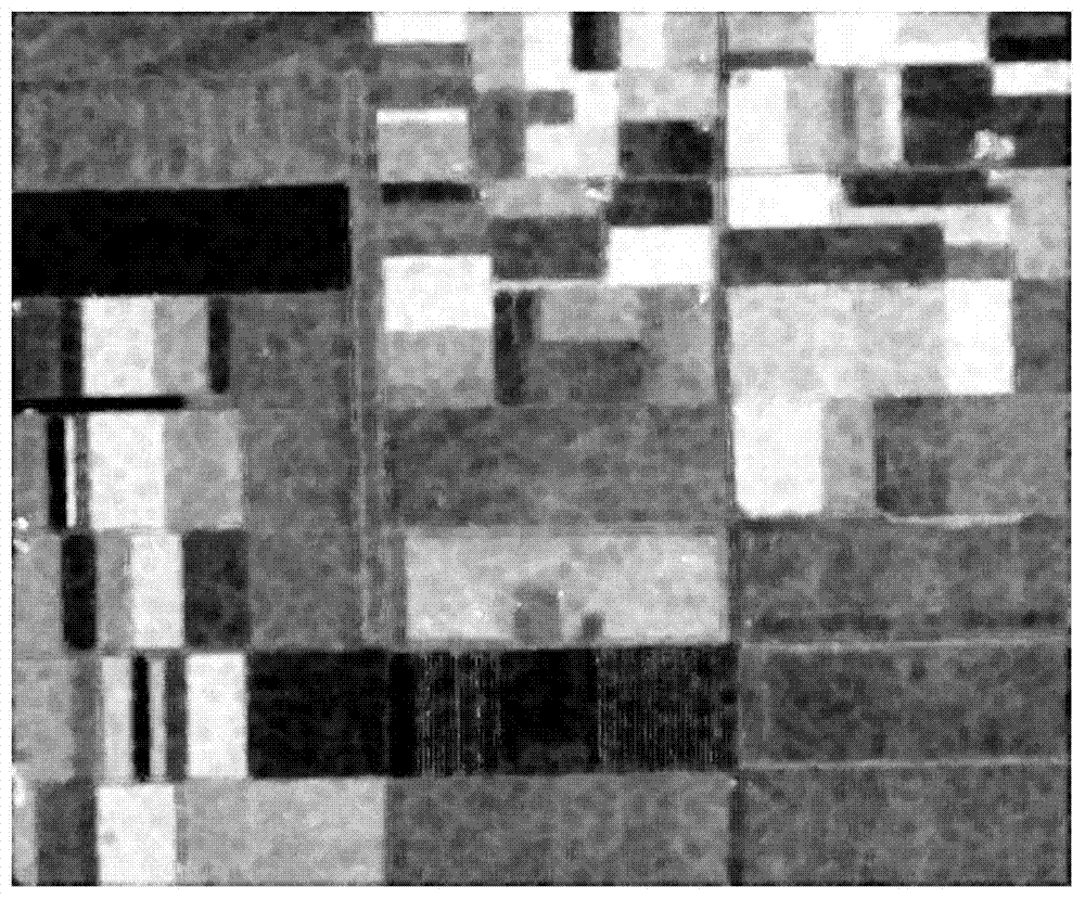 Classification Method of Polarized SAR Image Based on Deep Wavelet Neural Network