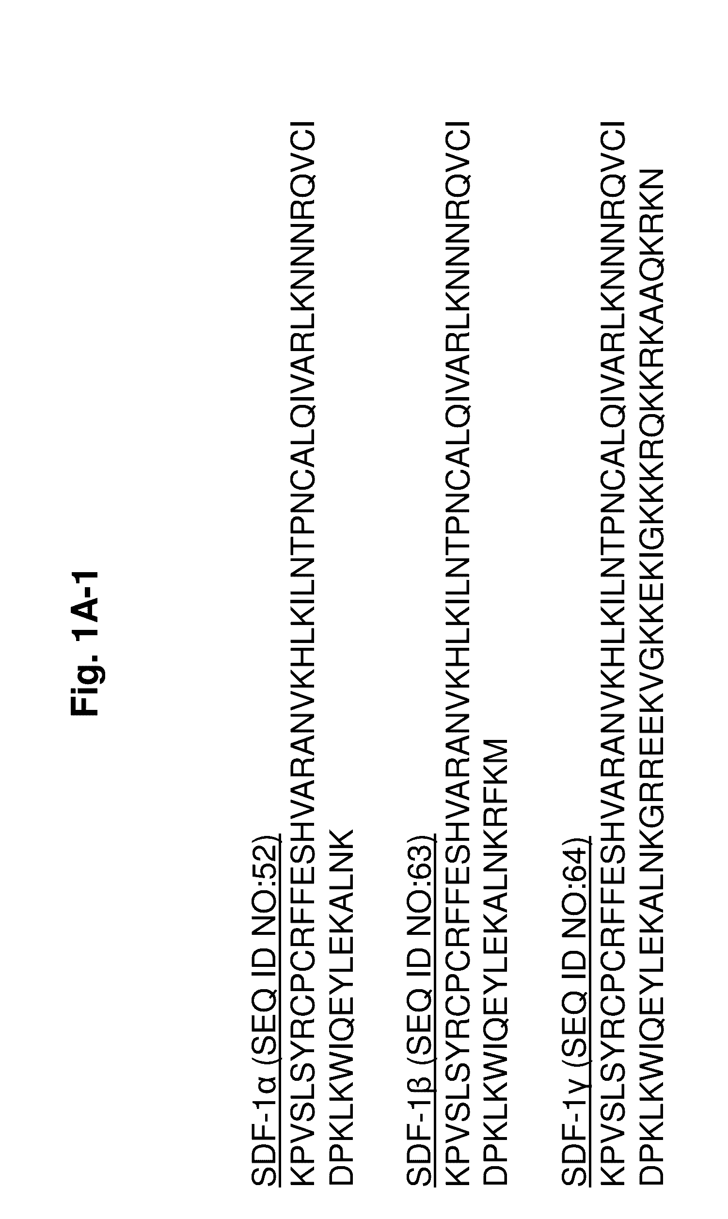 Protease-resistant mutants of stromal cell derived factor-1 in the repair of tissue damage