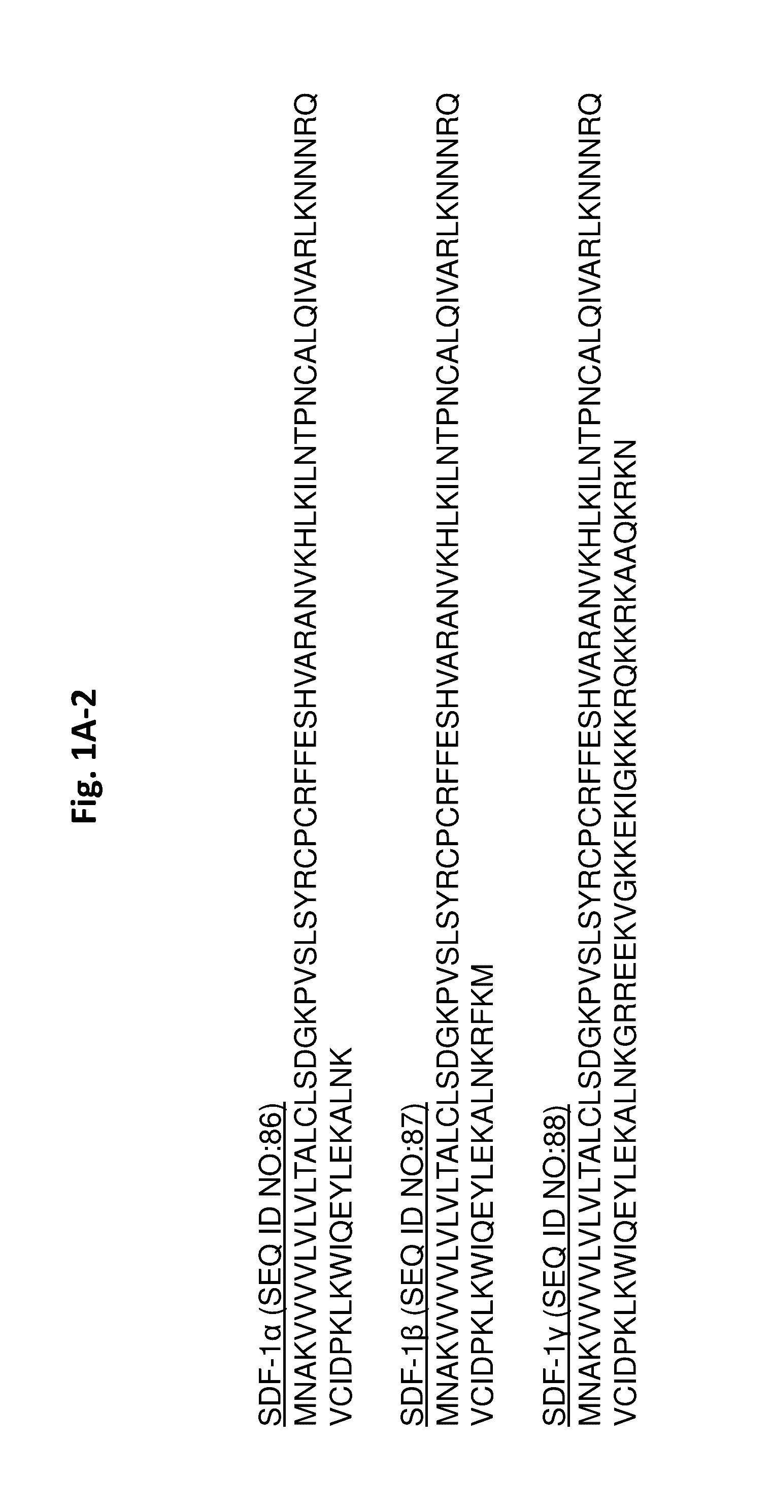 Protease-resistant mutants of stromal cell derived factor-1 in the repair of tissue damage