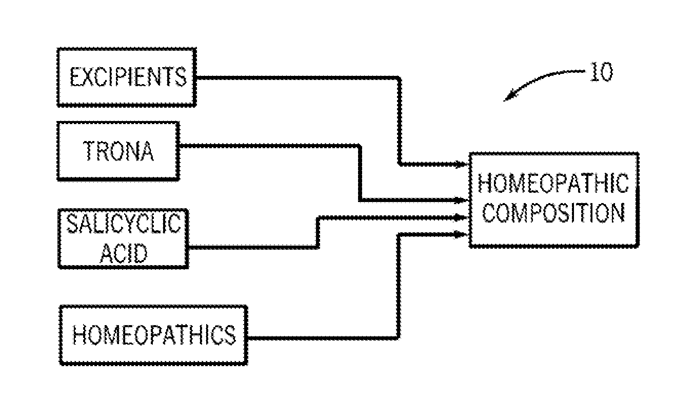 Homeopathic composition and method for the treatment of skin irritations and other skin diseases