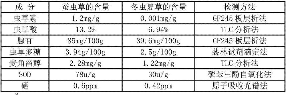 Male Cordyceps Cultivation Technology and Method for Cultivating Female Cordyceps Silkworm Species