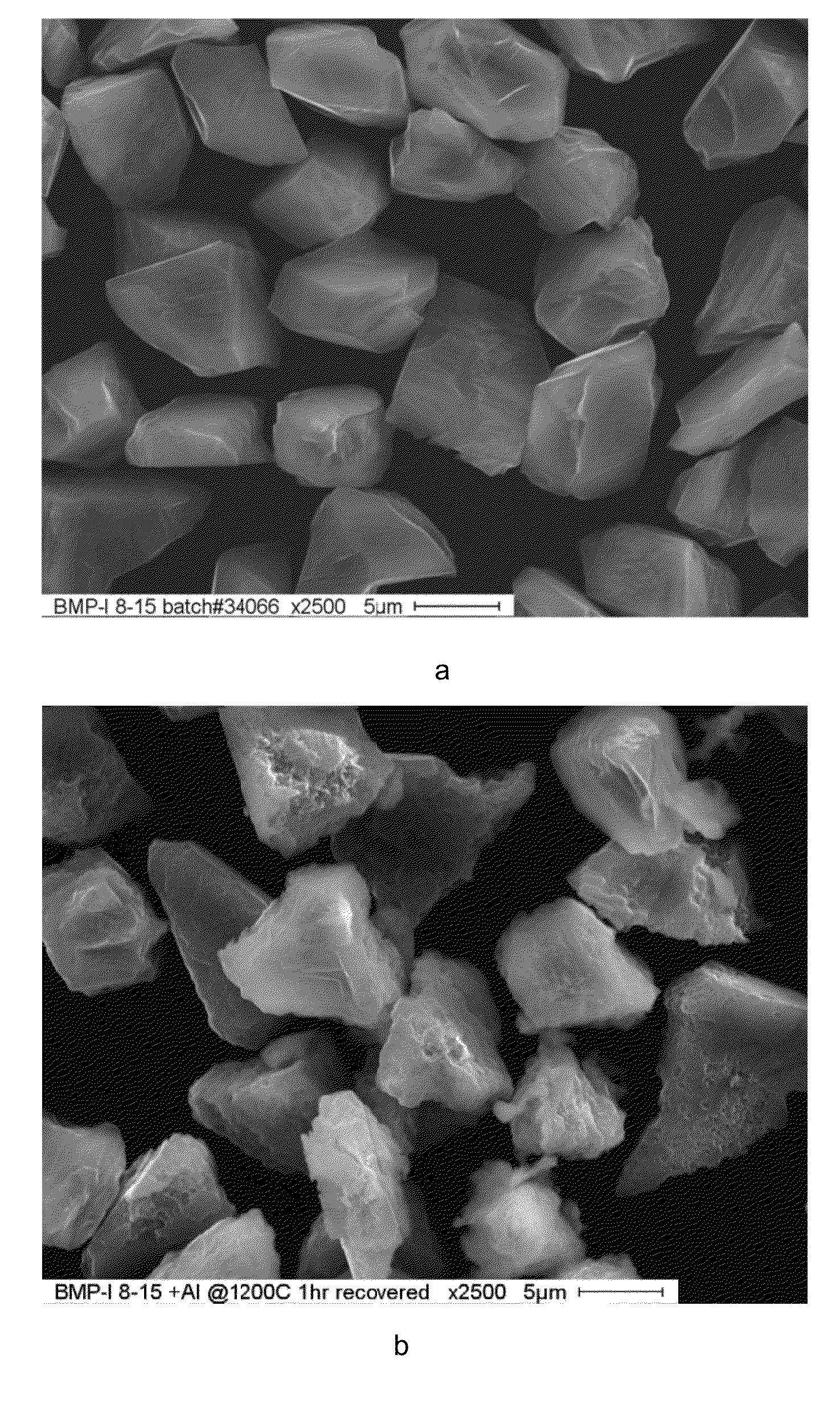 Cubic boron nitride particles having a unique morphology