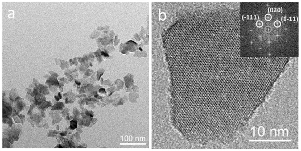 Nanosheet-shaped lithium titanate material with oriented structure and preparation method and application thereof