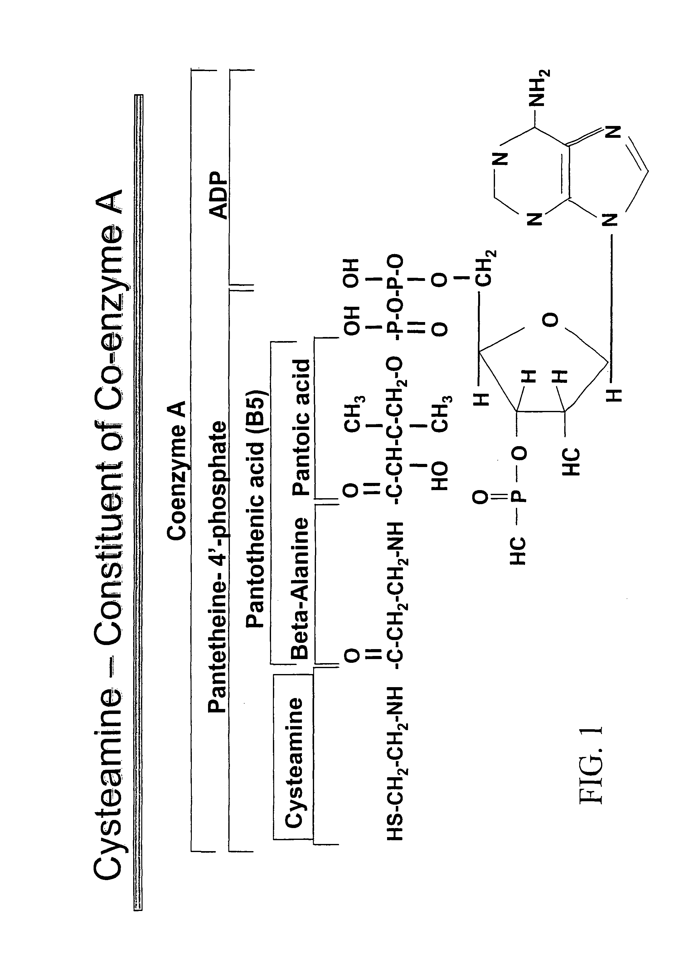 Materials and methods for treating viral infections