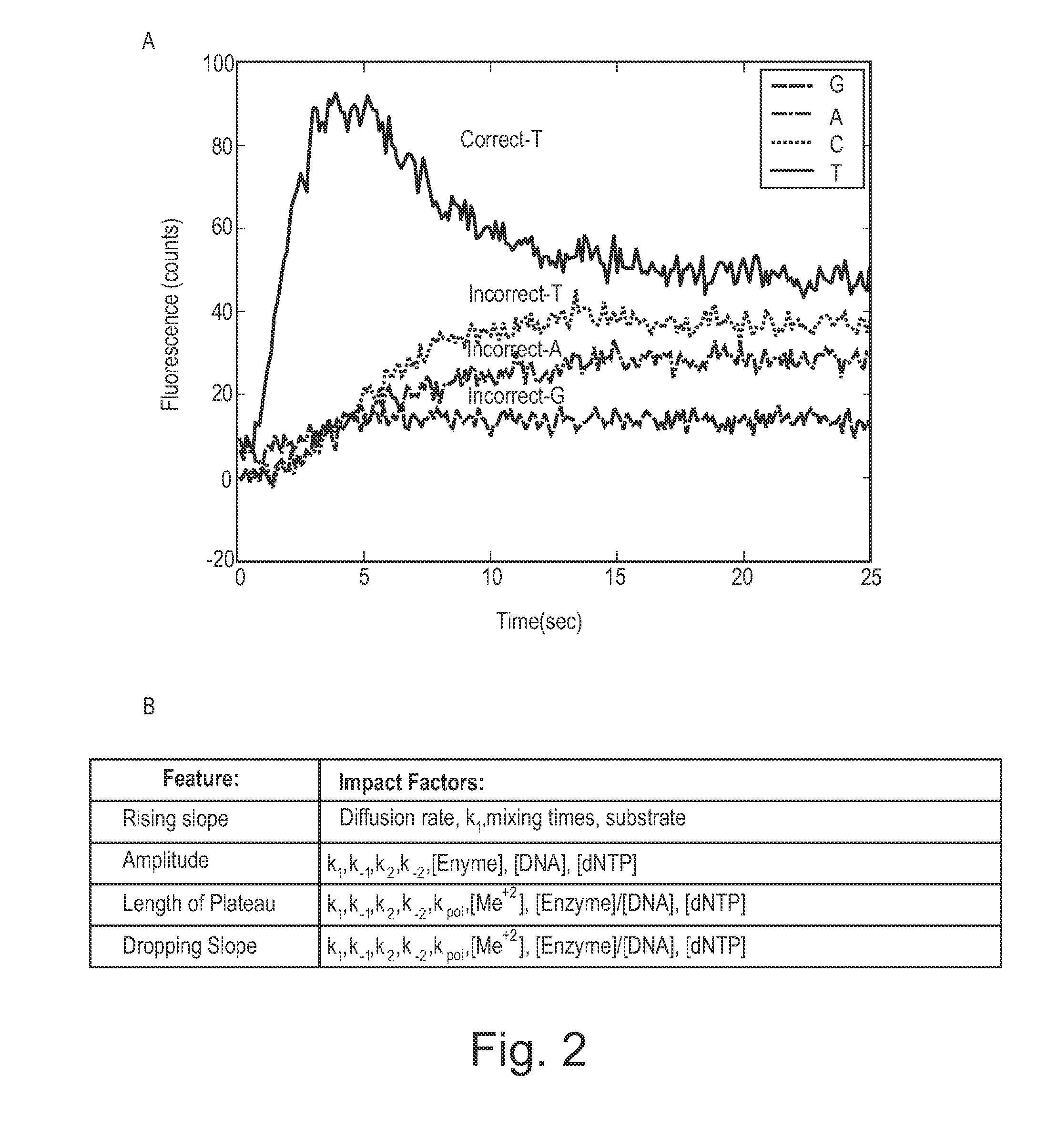 Apparatus and methods for kinetic analysis and determination of nucleic acid sequences