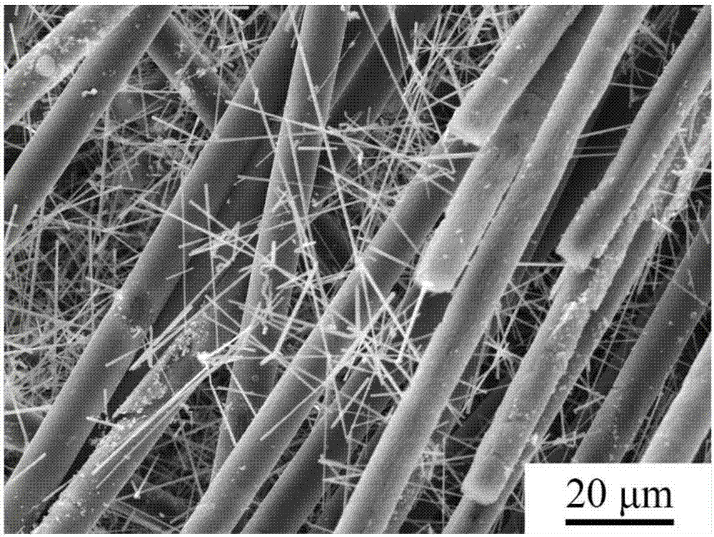 Preparation method of silicon carbide nanowire enhanced C/C-SiC-ZrB2 ceramic-based composite material