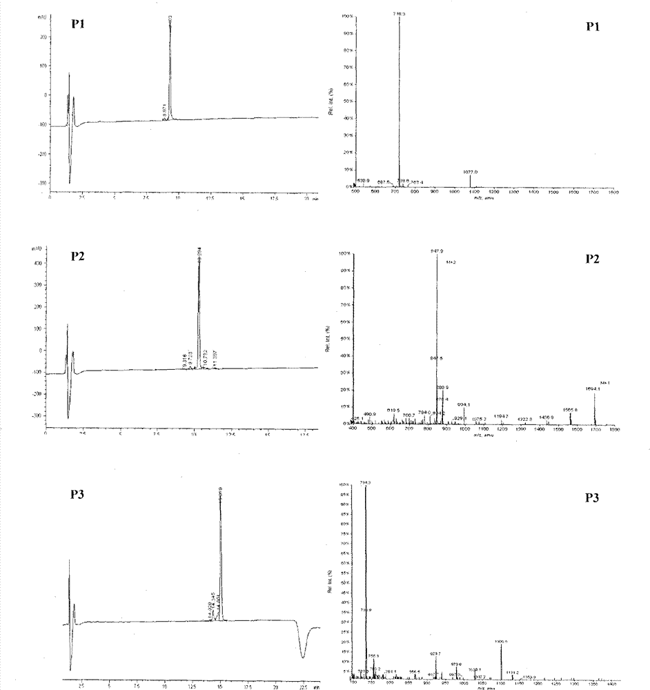 HLA (Human Leukocyte Antigen)-A*0201 limitation CTL (Cytotoxic T Lymphocyte) epitope of zinc translocator and application thereof