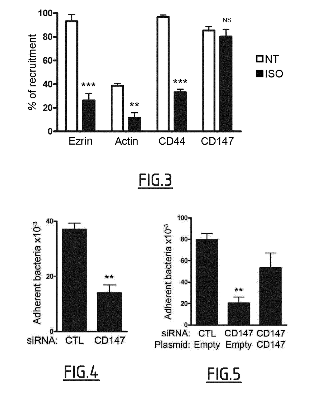 Cd147 as receptor for pilus-mediated adhesion of meningococci to vascular endothelia