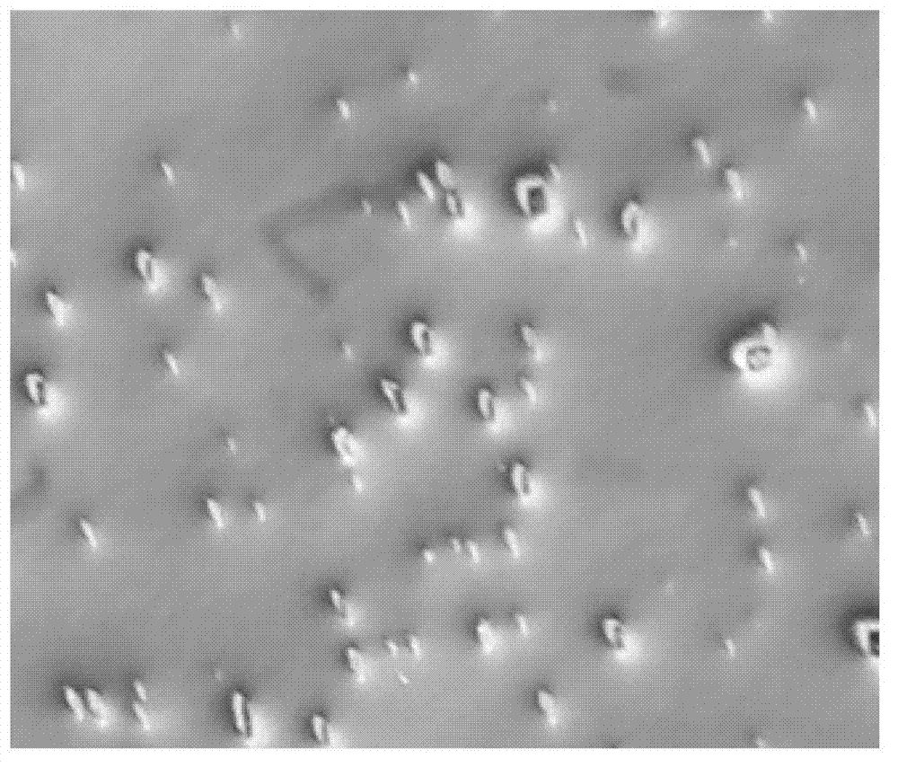 Polishing reagent liquid composition for semiconductor chip, polishing reagent liquid and preparation method thereof