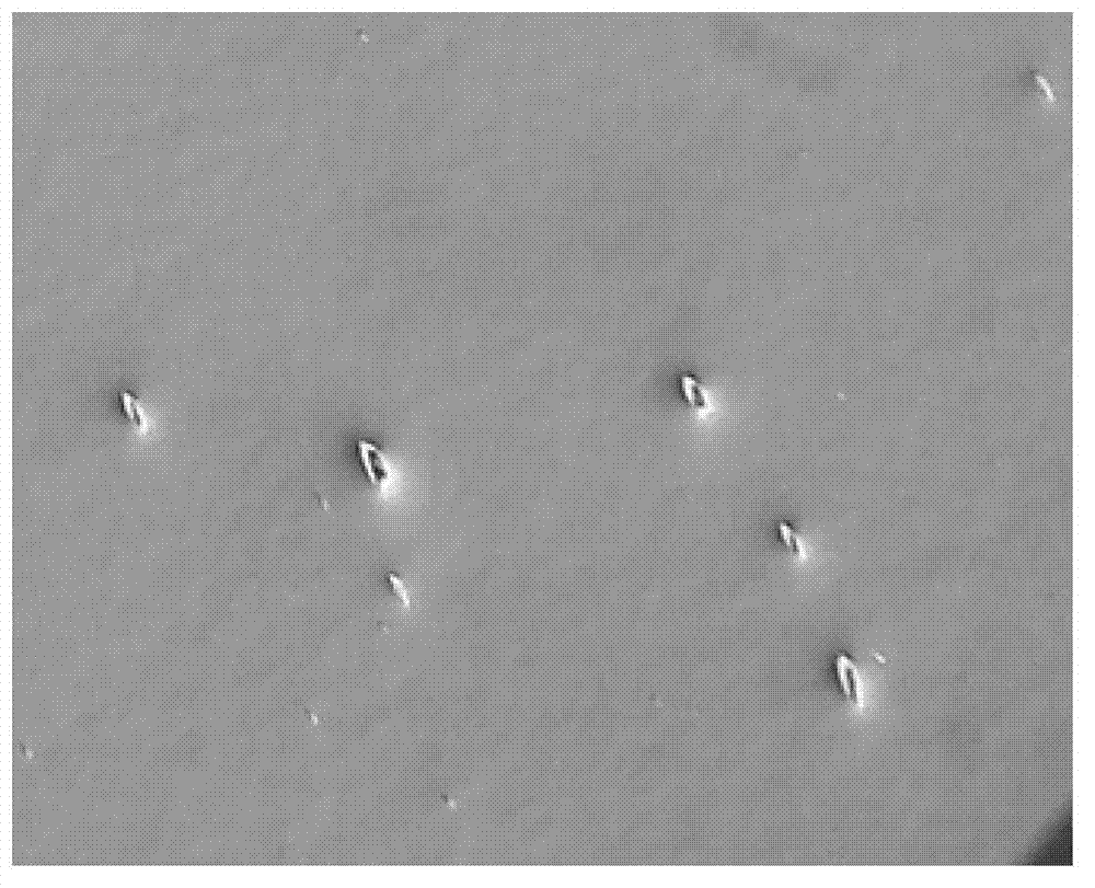 Polishing reagent liquid composition for semiconductor chip, polishing reagent liquid and preparation method thereof