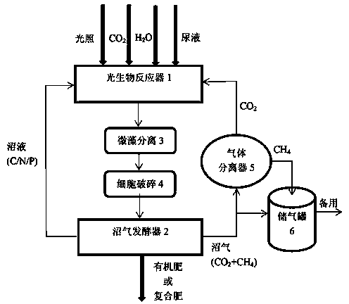 Treatment method for converting urine to resources and energy