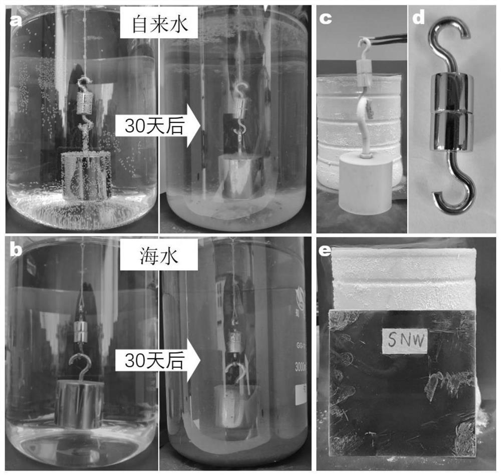 Subnanometer wire adhesive and its preparation method and use